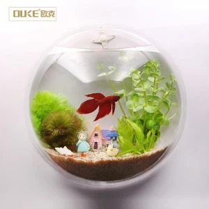 Sérsniðin 2018 Hreinsa Wall-ríðandi Akríl Tankur Aquarium